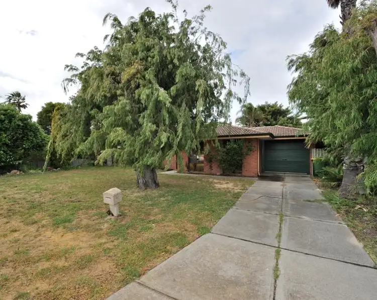Main view of Homely house listing, 36 Willmott Drive, Cooloongup WA 6168