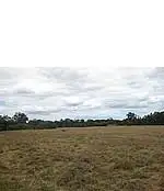 Second view of Homely land listing, 3 Dutchman Road, Coolup WA 6214