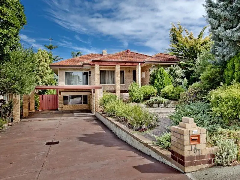 Main view of Homely house listing, 101 Paramatta Road, Doubleview WA 6018