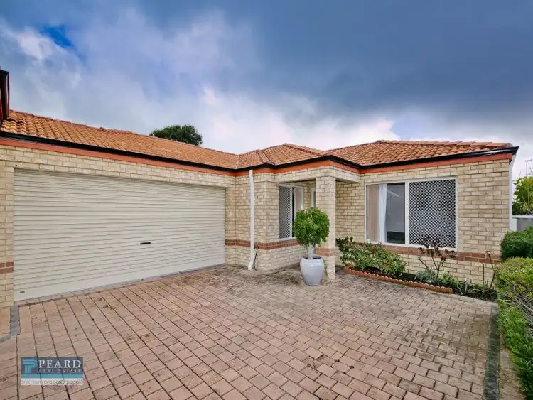 244b St Brigids Terrace, Doubleview WA 6018