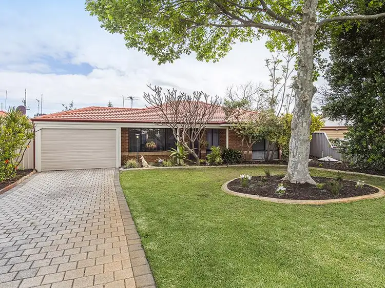 Main view of Homely house listing, 14 Grace Court, Cooloongup WA 6168