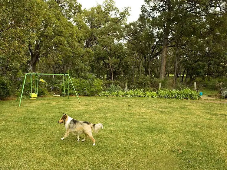 Fourth view of Homely house listing, 56 Lyons Road, Waroona WA 6215