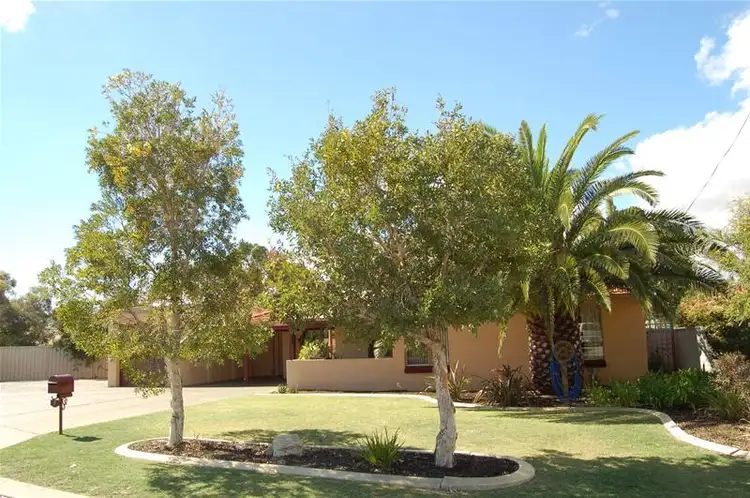 Main view of Homely house listing, 7 Grimsel Court, Coodanup WA 6210