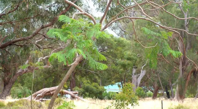 Main view of Homely house listing, 27 Corker Vale, Lake Clifton WA 6215