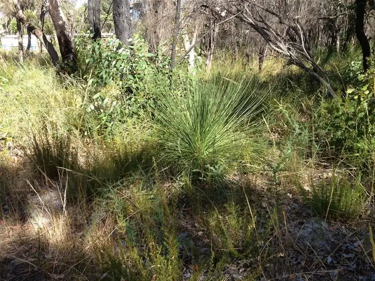 Fifth view of Homely rural property listing, 42 Southern Estuary Road, Lake Clifton WA 6215