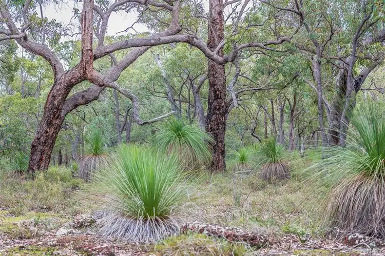 Third view of Homely land listing, 207 Holstein Loop, Lower Chittering WA 6084