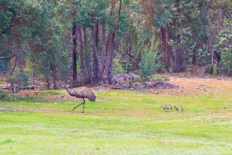 Main view of Homely land listing, 270 Turtledove Drive, Lower Chittering WA 6084