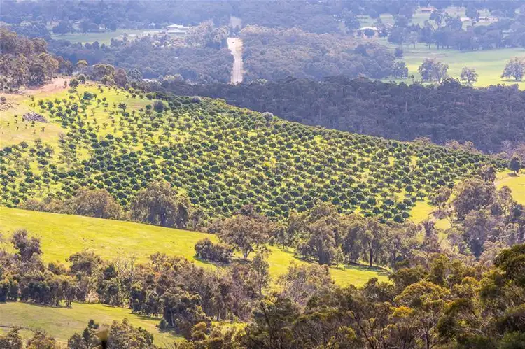 Fifth view of Homely land listing, 270 Turtledove Drive, Lower Chittering WA 6084