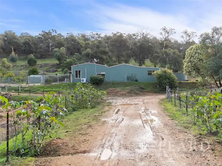 91 Brookvale Mews, Bullsbrook WA 6084