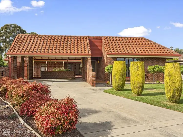 16 Jean Street, Oaklands Park SA 5046