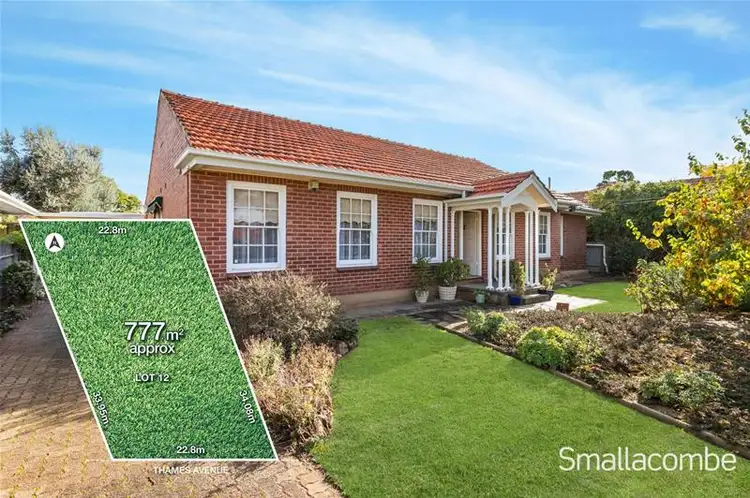 Main view of Homely house listing, 20 Thames Avenue, Klemzig SA 5087