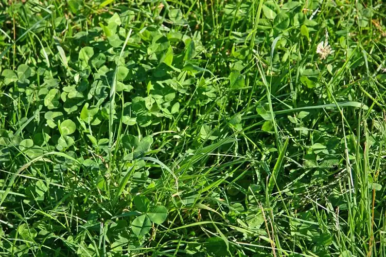 Seventh view of Homely land listing, 46-48 Arve Road, Geeveston TAS 7116