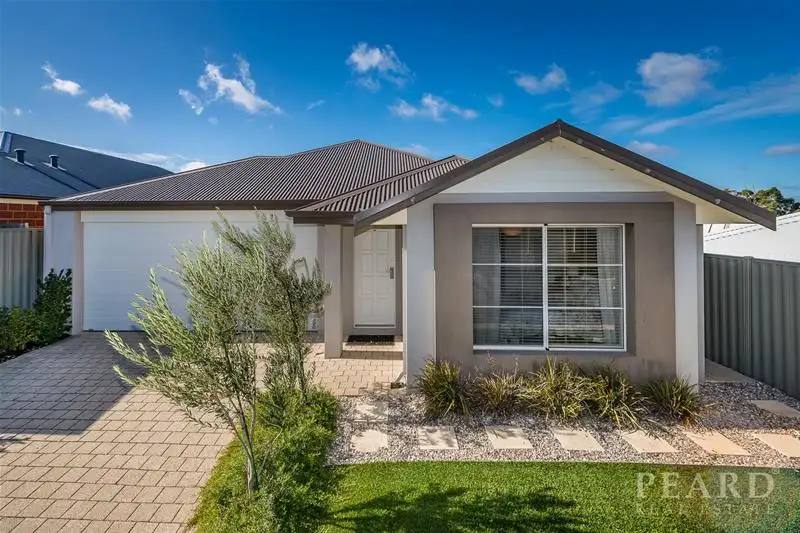 Main view of Homely house listing, 15 Chico Link, Alkimos WA 6038