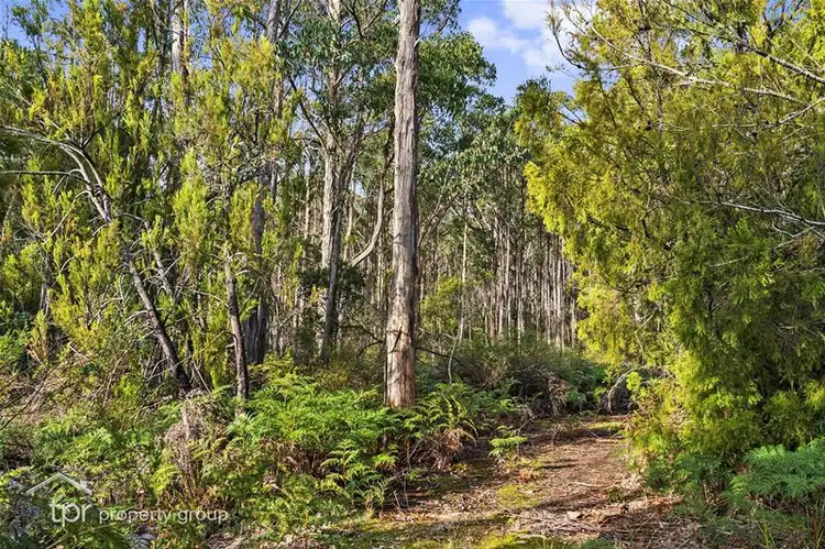 Lot 1 Kellys Road, Cradoc TAS 7109