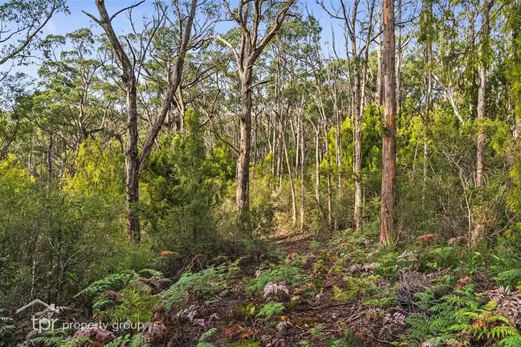 Sixth view of Homely land listing, Lot 1 Kellys Road, Cradoc TAS 7109