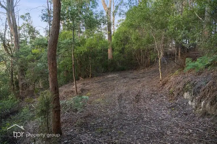 Lot 1 Golden Valley Road, Cygnet TAS 7112