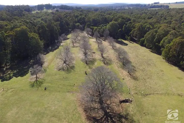 Second view of Homely house listing, 11 Circular Creek Road, Stanley VIC 3747