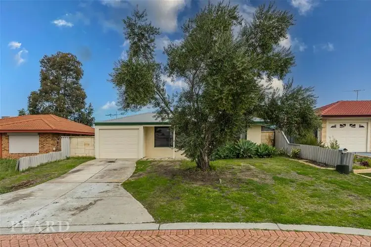 31 Frond Circuit, Banksia Grove WA 6031