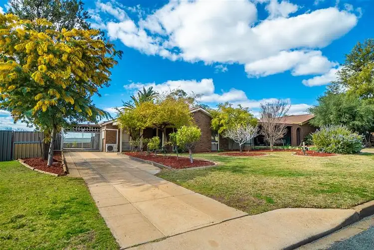 Second view of Homely house listing, 14 Crane Drive, Buronga NSW 2739