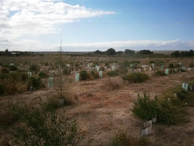 Seventh view of Homely land listing, Lot 6 Narrung Stud Road, Narrung SA 5259