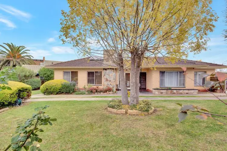 Main view of Homely house listing, 16 Packers Drive, Highbury SA 5089