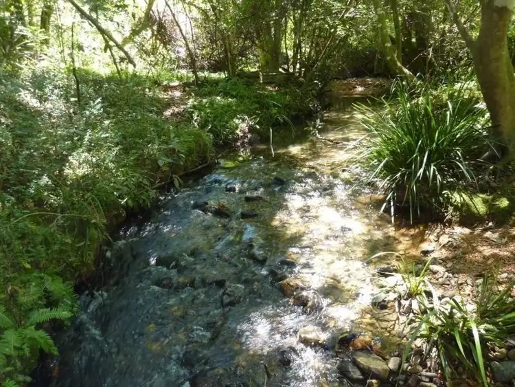 Second view of Homely rural property listing, 128A Fridays Creek Road, Upper Orara NSW 2450