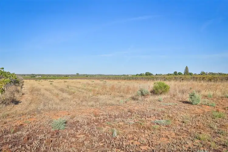 Seventh view of Homely house listing, 99 Cowanna Avenue, Merbein VIC 3505
