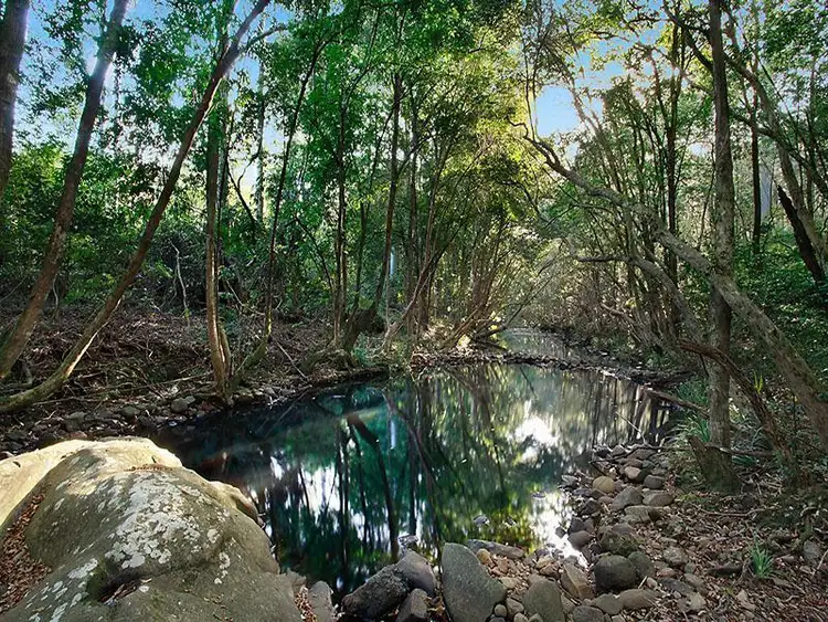 113 Saggers Creek Road, Stroud NSW 2425