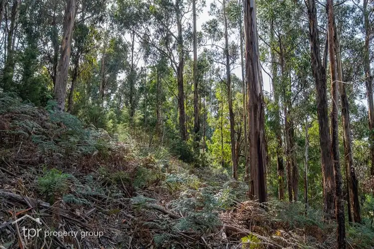 Fourth view of Homely land listing, Lot 1 Heriots Rise, Franklin TAS 7113