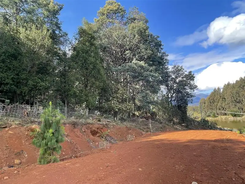 Main view of Homely land listing, 37 Paddys Lane, Franklin TAS 7113