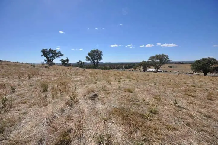Third view of Homely land listing, 70 Butterbush Road, Gregadoo NSW 2650