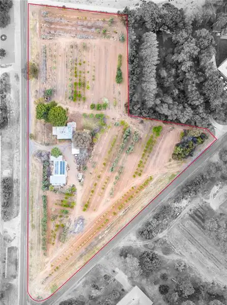 107 Coorong Avenue, Irymple VIC 3498