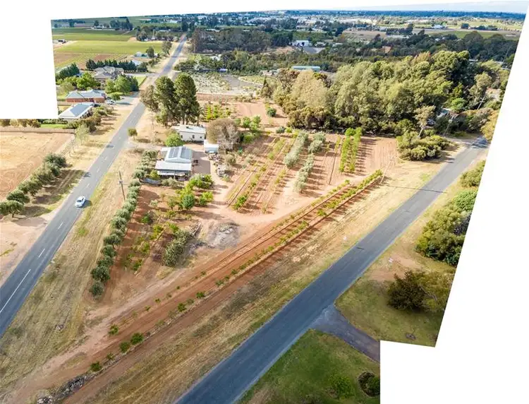 Fourth view of Homely house listing, 107 Coorong Avenue, Irymple VIC 3498