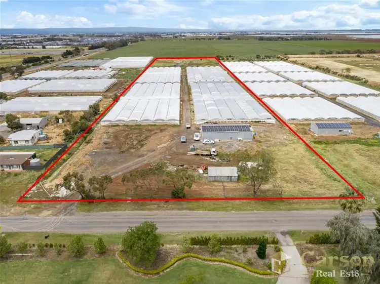 19 Carmelo Road, Buckland Park SA 5120