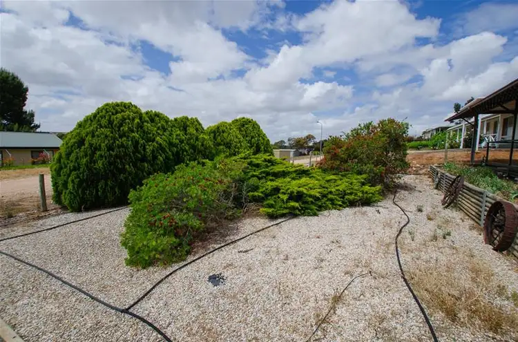 Seventh view of Homely house listing, 60 Tom Groggin Drive, Younghusband SA 5238