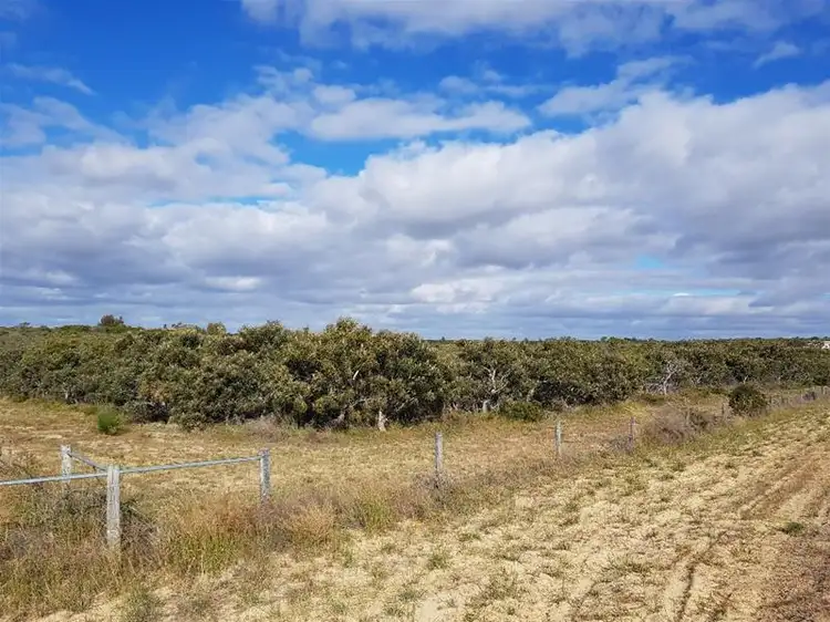 Fifth view of Homely rural property listing, 221 Premier Drive, Jurien Bay WA 6516