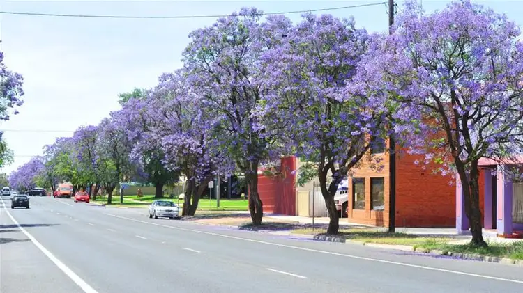 Sixth view of Homely land listing, Lot 53/ Joseph Court, Red Cliffs VIC 3496