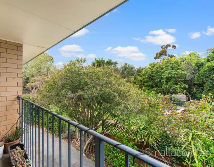 Third view of Homely unit listing, 3/141 Cross Road, Westbourne Park SA 5041