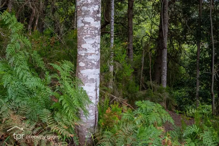 Sixth view of Homely land listing, 1/50 Eadies Lane, Franklin TAS 7113