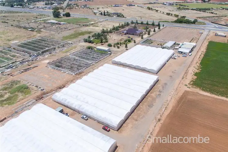 Fifth view of Homely land listing, 1505 Port Wakefield Road, Waterloo Corner SA 5110