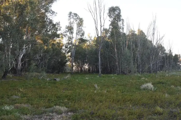 Sixth view of Homely house listing, 128 Amaroo Road, Buronga NSW 2739