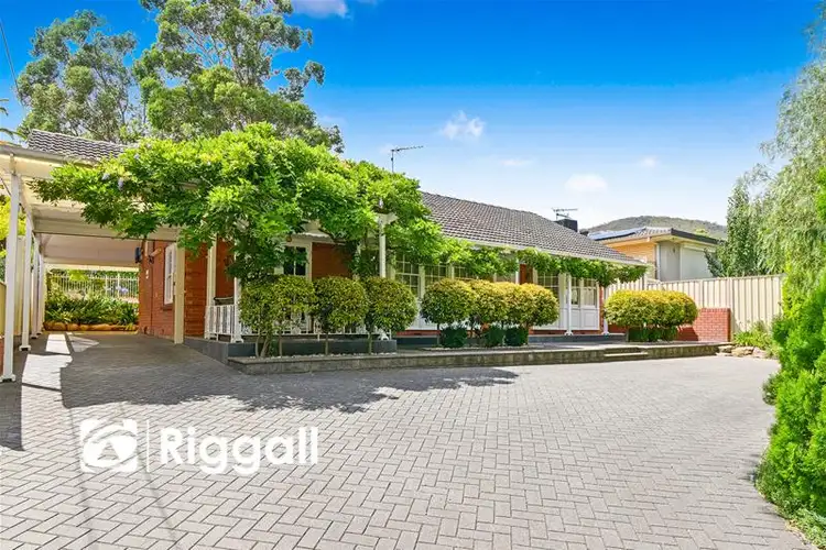 Main view of Homely house listing, 13 Fox Avenue, Athelstone SA 5076