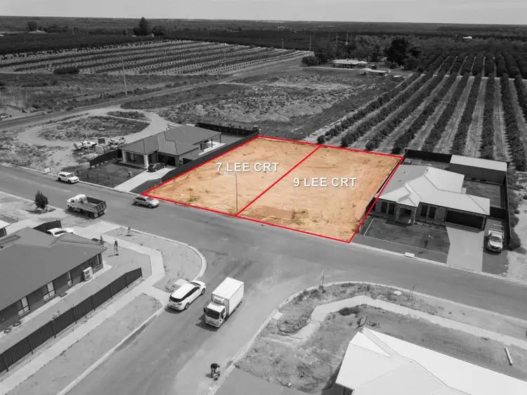9 Lee Court, Gol Gol NSW 2738