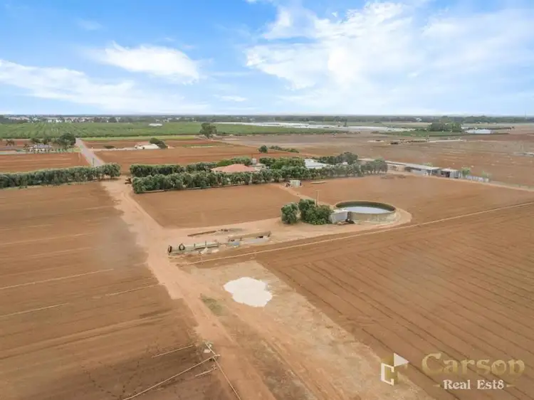Fourth view of Homely house listing, 56 Ward Road, Virginia SA 5120