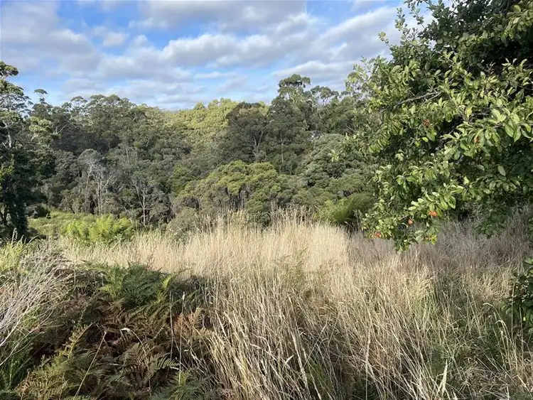 Sixth view of Homely land listing, 10 Reid Street, Strahan TAS 7468