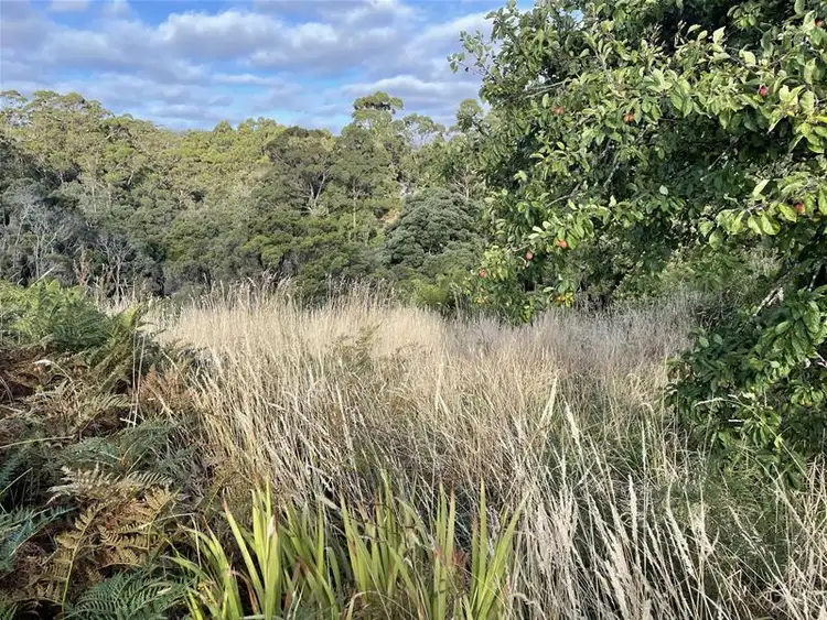 Sixth view of Homely land listing, 12 Reid Street, Strahan TAS 7468