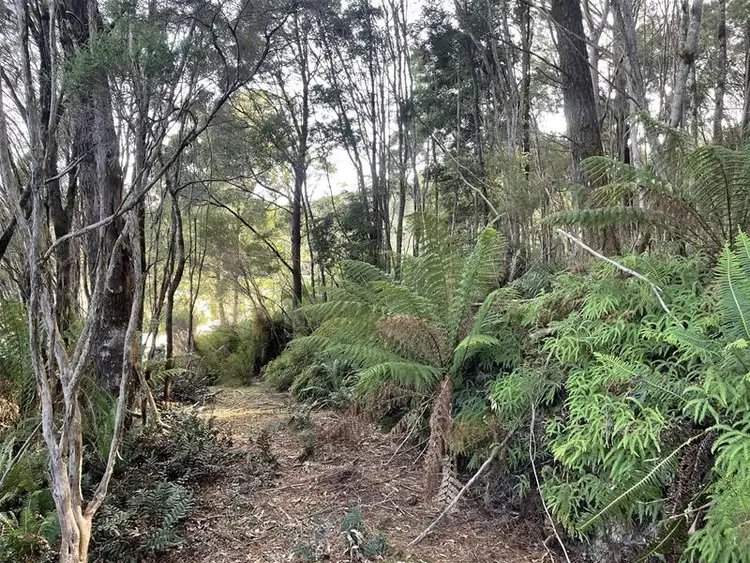 22 Smith Street, Zeehan TAS 7469