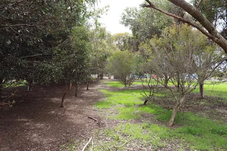 Second view of Homely land listing, LOT 20/20 Starr Road, Yorketown SA 5576