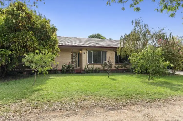19 Powell Street, Berri SA 5343