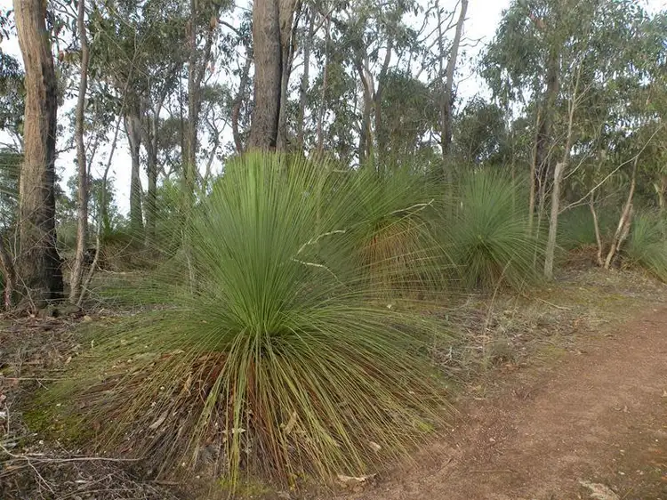 Second view of Homely land listing, 358 De Motts Road, Anakie VIC 3213